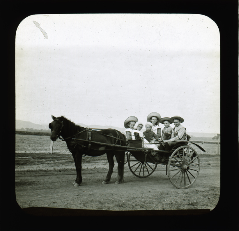 School children in horse drawn cart [Hawkesbury Agricultural College (HAC)]