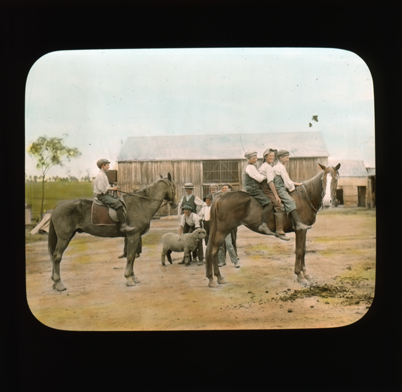 Four boys on two horses standing in front of a group of boys posing with a sheep [Hawkesbury Agricultural College (HAC)]