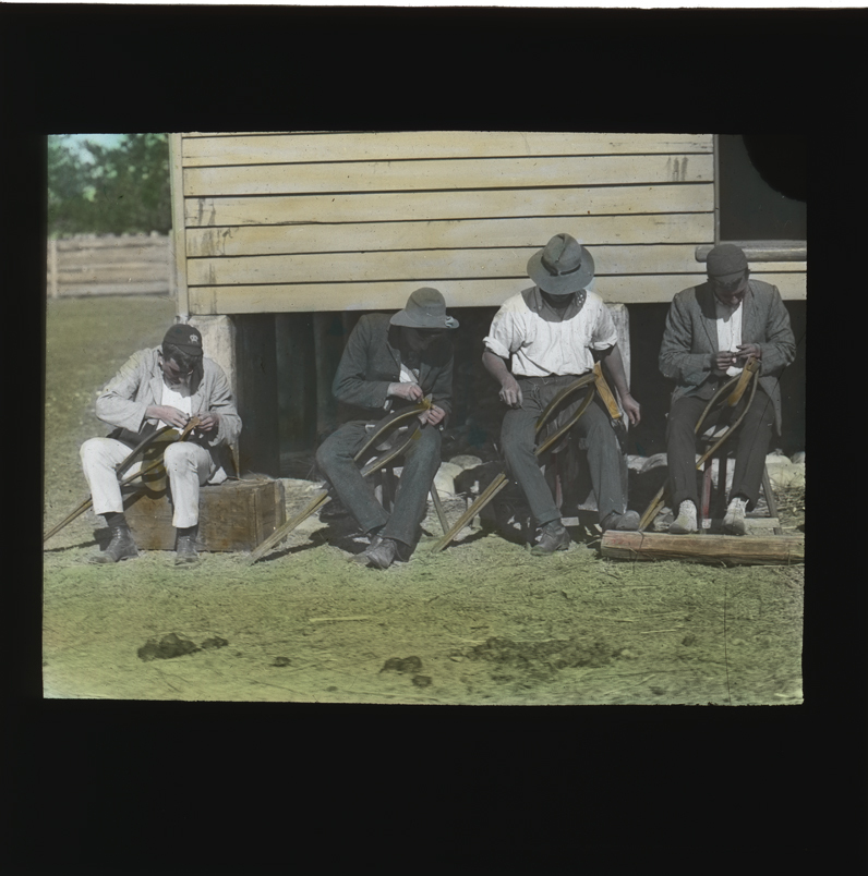 Saddlery Shop (exterior) - Harness repairs [Hawkesbury Agricultural College (HAC)]