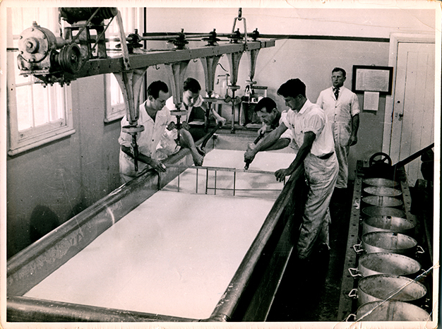 Cheese making in the Dairy factory