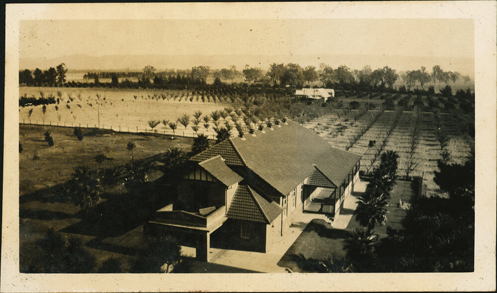 Memorial Hall - Showing Orchards and Cannery west of the Hall [Hawkesbury Agricultural College (HAC)]