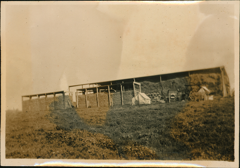 Hay barn (Roseworthy College, South Australia)