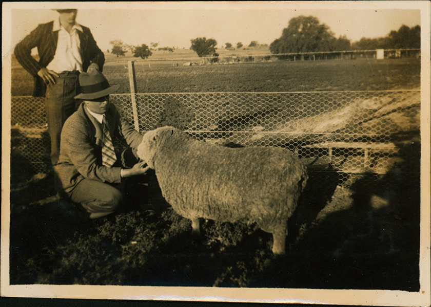 Student and instructor with a sheep [Hawkesbury Agricultural College (HAC)]