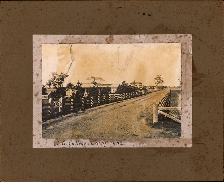 College Dairy [Hawkesbury Agricultural College (HAC)]