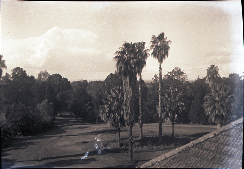 Fairy Circle from the Administration Building [Hawkesbury Agricultural College (HAC)]