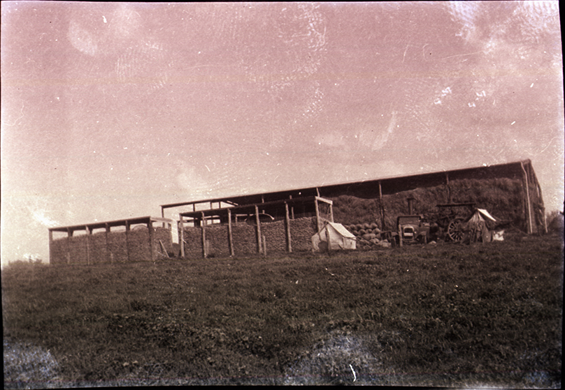 Hay barn (Roseworthy College, South Australia)