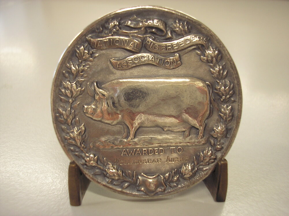 Sydney Royal Empire Show - National Pig Breeders Association Silver Medal - Awarded to Department of Agriculture NSW (Hawkesbury) - Wollongbar Angus - 1941