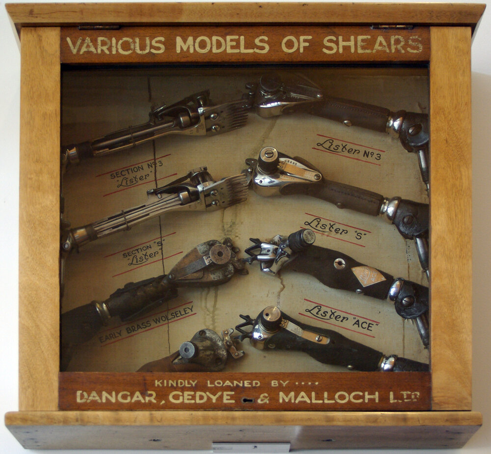 Display Case - Sheep Shears - Dangar, Gedye &amp; Malloch Ltd