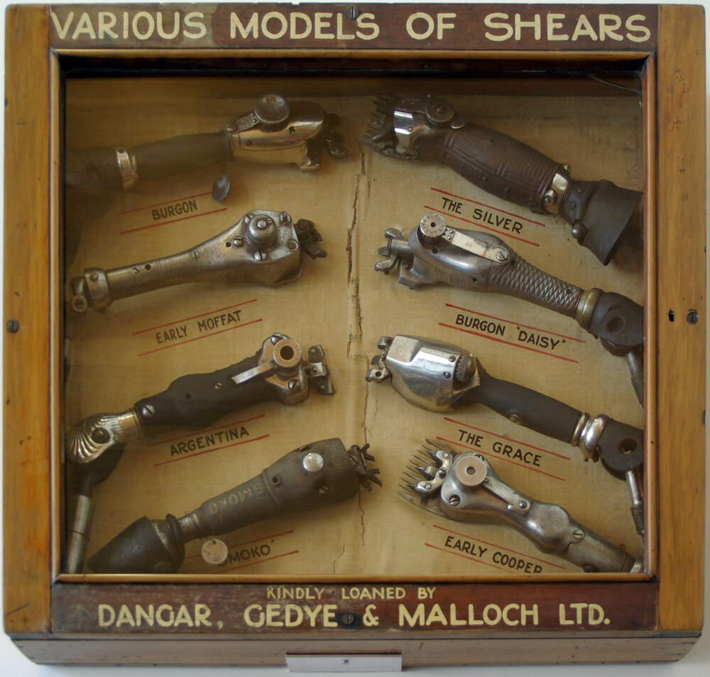 Display Case - Sheep Shears - Dangar, Gedye &amp; Malloch Ltd