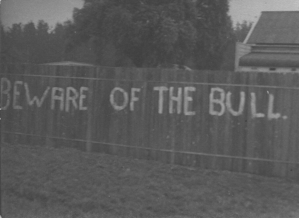 Empire Day - Student prank - 'Beware of the Bull' painted on the fence of the Principal's residence [Hawkesbury Agricultural College (HAC)]