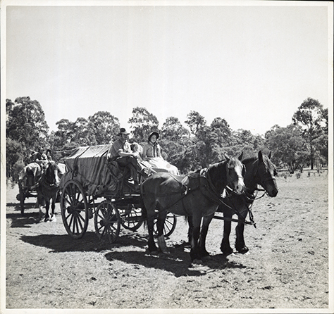 Horses and carts - Picture by JA Sherlock at HAC for "New Horizons" in "Nation builders"