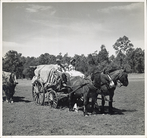 Horses and carts - Picture by JA Sherlock at HAC for "New Horizons" in "Nation builders"