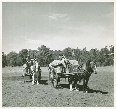 Horses and carts - Picture by JA Sherlock at HAC for "New Horizons" in "Nation builders"