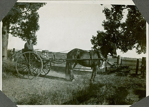 Horse &amp; buggy carrying unknown male