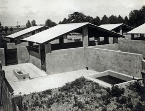 Piggery - Pigsties and concrete pens [Hawkesbury Agricultural College (HAC)]