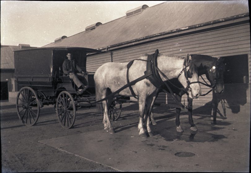 Carriage with two Horses in Stable Square [Hawkesbury Agricultural College (HAC)]