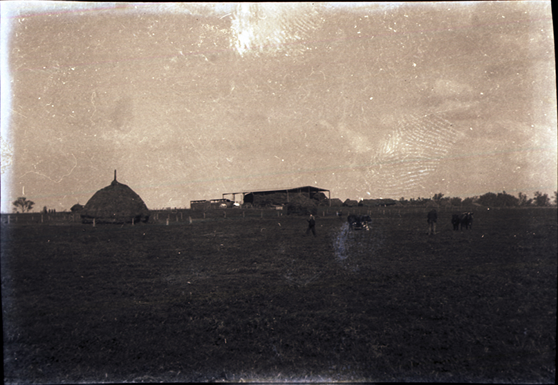 Beehive haystack (Roseworthy College, South Australia)