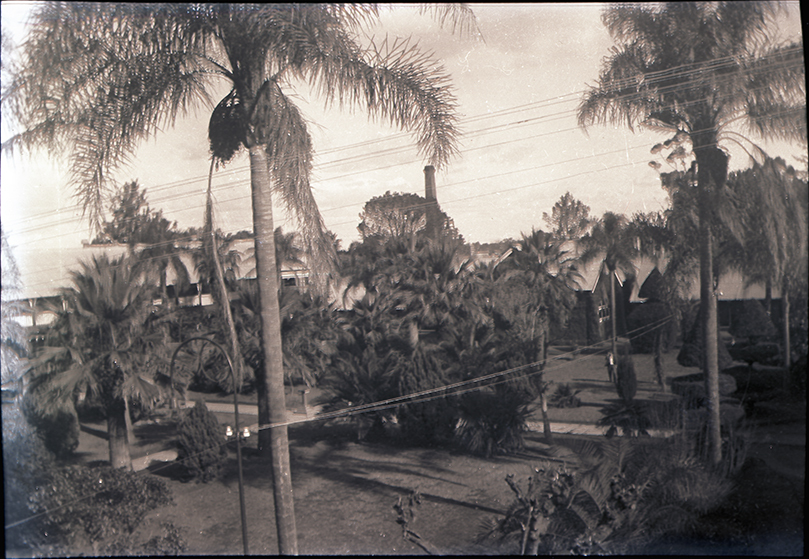 Quadrangle showing Administration Building and Powerhouse Chimney stack in the background [Hawkesbury Agricultural College (HAC)]