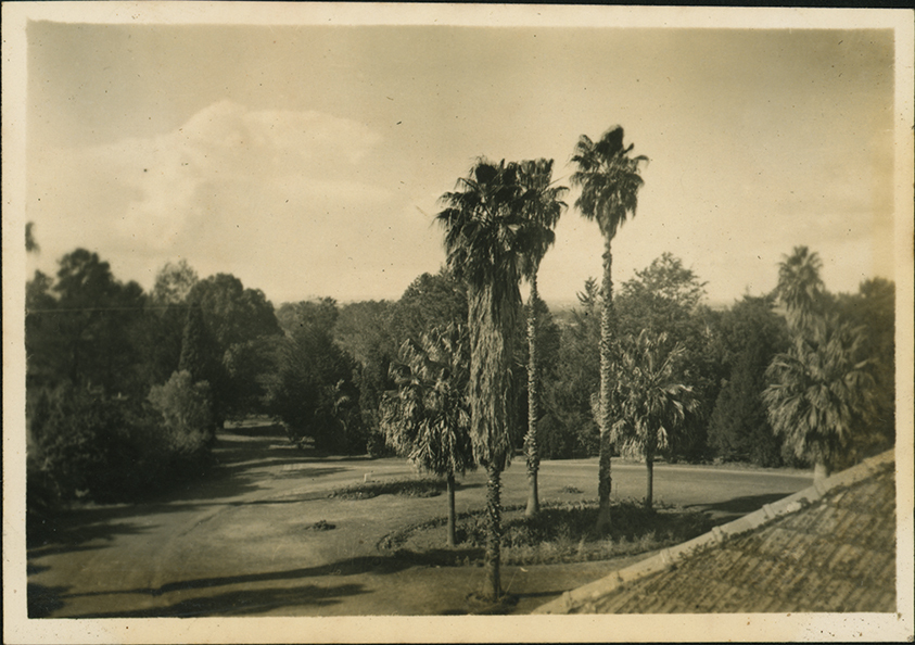 Fairy Circle from the Administration Building [Hawkesbury Agricultural College (HAC)]