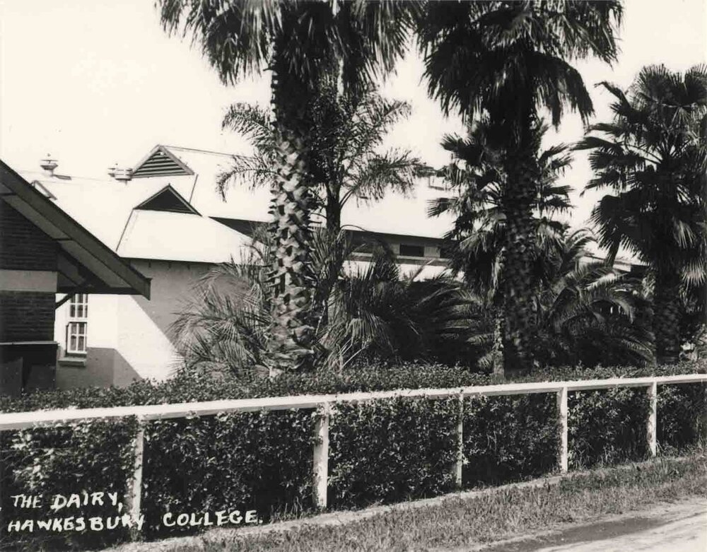 Dairy Factory (exterior): Print 2 of 2 (cropped) [Hawkesbury Agricultural College (HAC)]