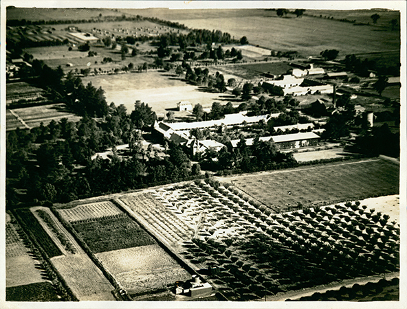 Aerial photograph - Hawkesbury Agricultural College with orchard in foreground [Hawkesbury Agricultural College (HAC)]