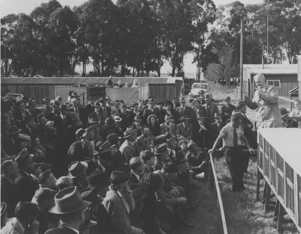 Crowd in front of the pens at Egg Laying Competition [Hawkesbury Agricultural College (HAC)]