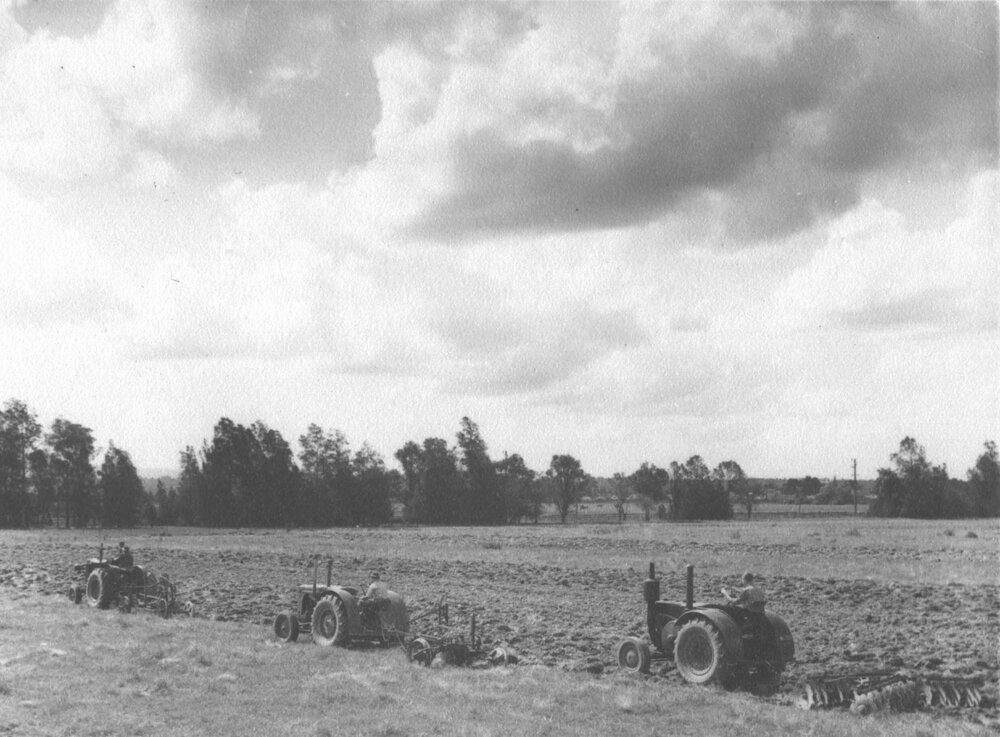 Three tractors in a line working in a field - ploughing(?) [Hawkesbury Agricultural College (HAC)]