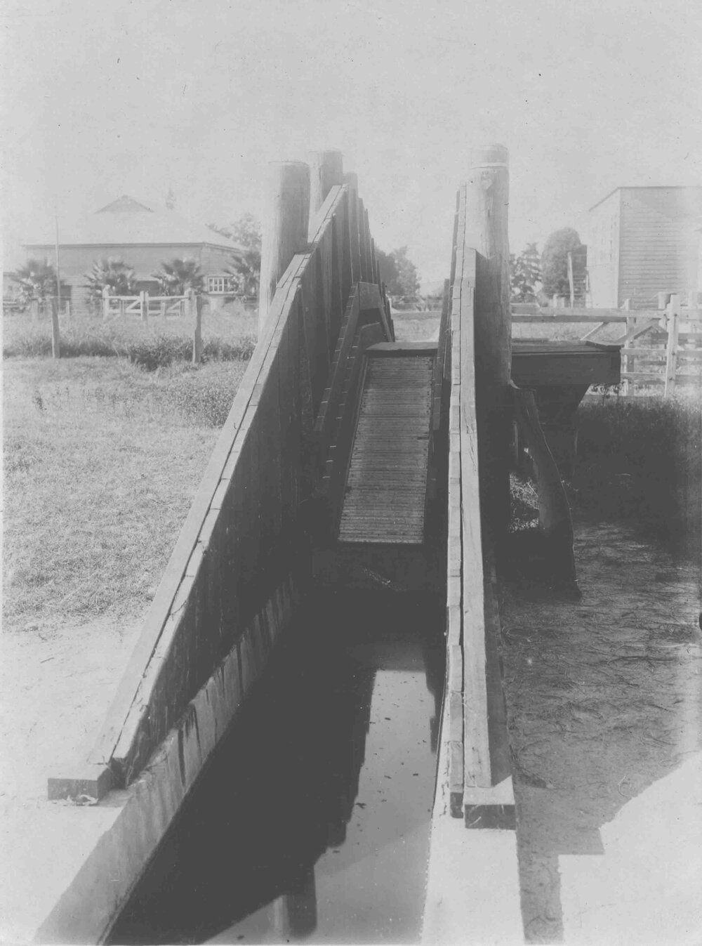 Sheep dip [Hawkesbury Agricultural College (HAC)]