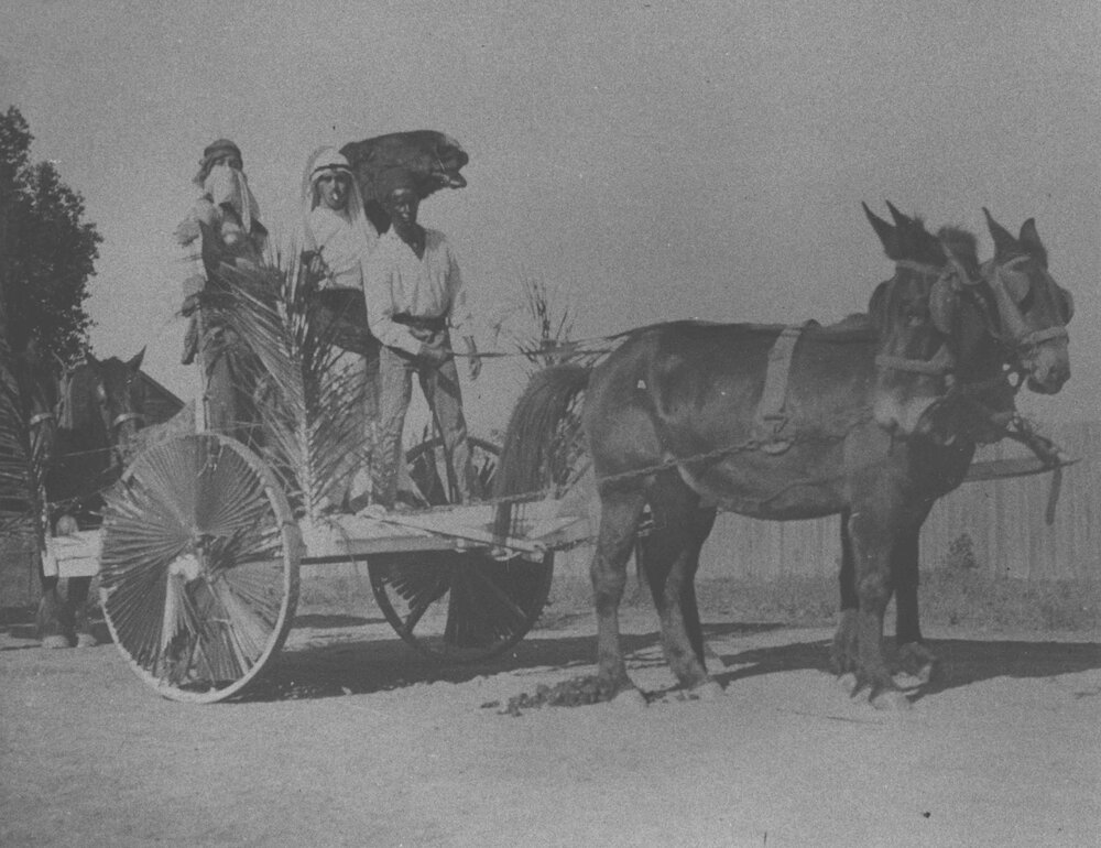 College Procession - The Sheik of Yarramundi [Hawkesbury Agricultural College (HAC)]