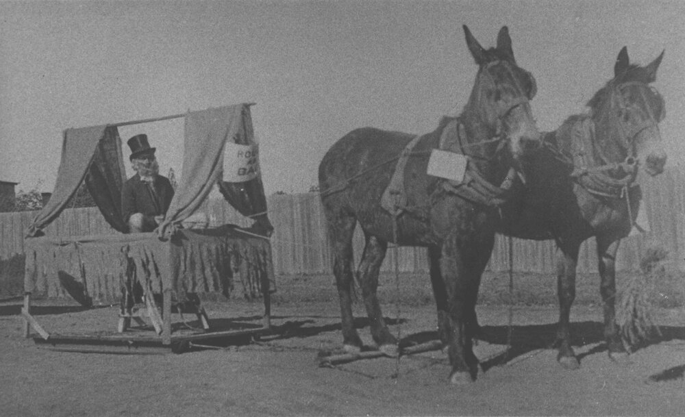 College Procession - Student dressed up, sitting in a slide, pulled by two mules [Hawkesbury Agricultural College (HAC)]