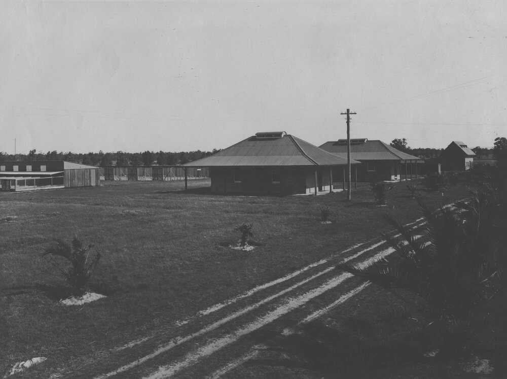 Incubator house and office - poultry section [Hawkesbury Agricultural College (HAC)]
