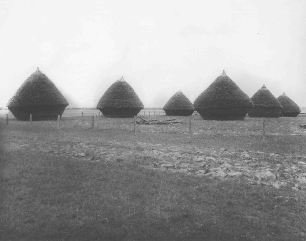 Beehive hay stacks (six in total) [Hawkesbury Agricultural College (HAC)]