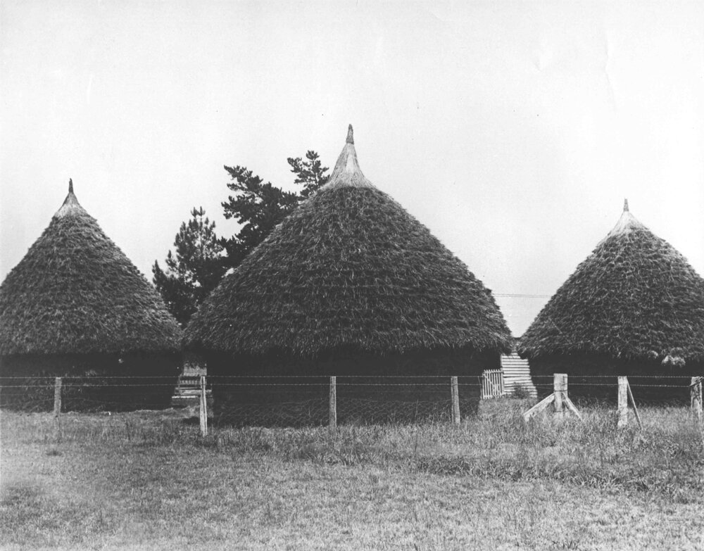 Beehive haystacks built by students - 1922 harvest [Hawkesbury Agricultural College (HAC)]