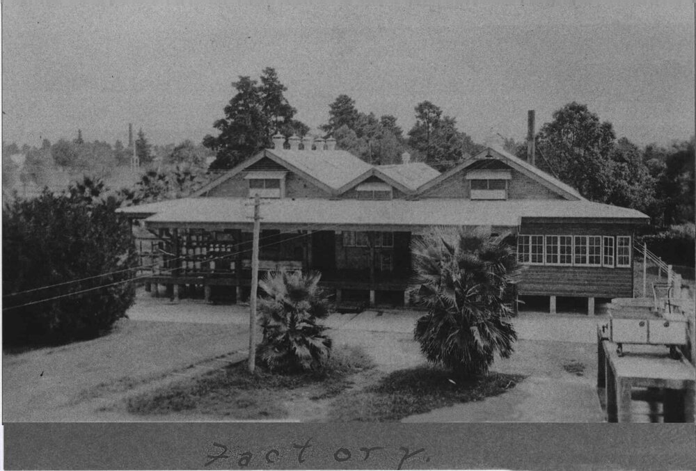 Dairy Factory (exterior): after major extensions in 1920s. [Hawkesbury Agricultural College (HAC)]
