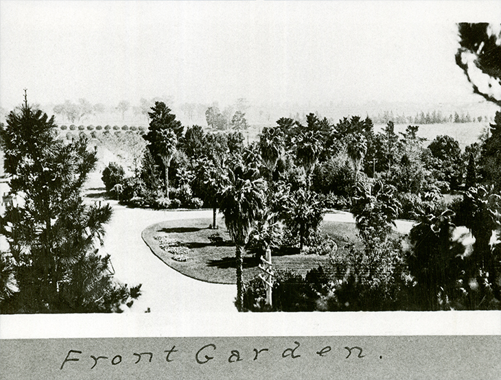 Garden (Fairy Circle) in front of Main Administration Building looking West towards orchard [Hawkesbury Agricultural College (HAC)]