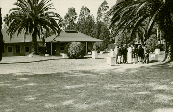 Apiary Class - Students young so probably Diploma students - People on right [Hawkesbury Agricultural College (HAC)]