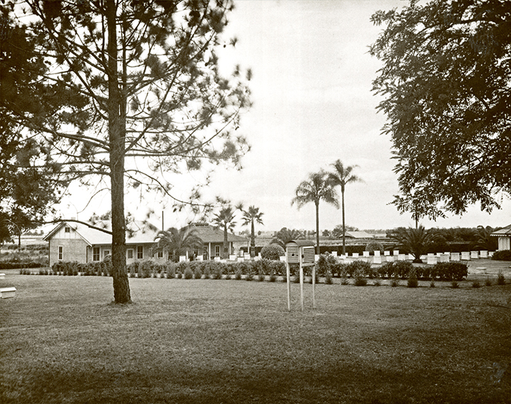 Apiary buildings - Site near the Administration Buildings [Hawkesbury Agricultural College (HAC)]
