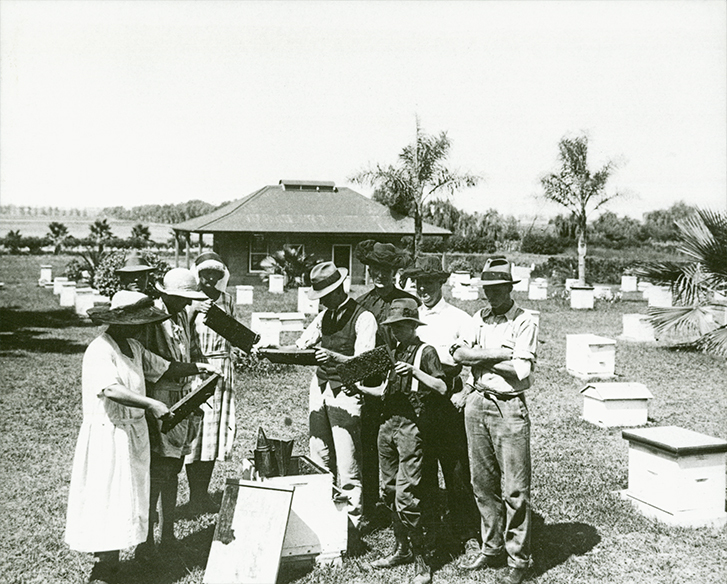 Apiary students examining honeycomb frames [Hawkesbury Agricultural College (HAC)] - Print 2 of 2 - Cropped