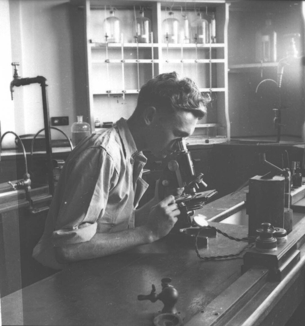 Laboratory - Student looking through a microscope [Hawkesbury Agricultural College (HAC)]