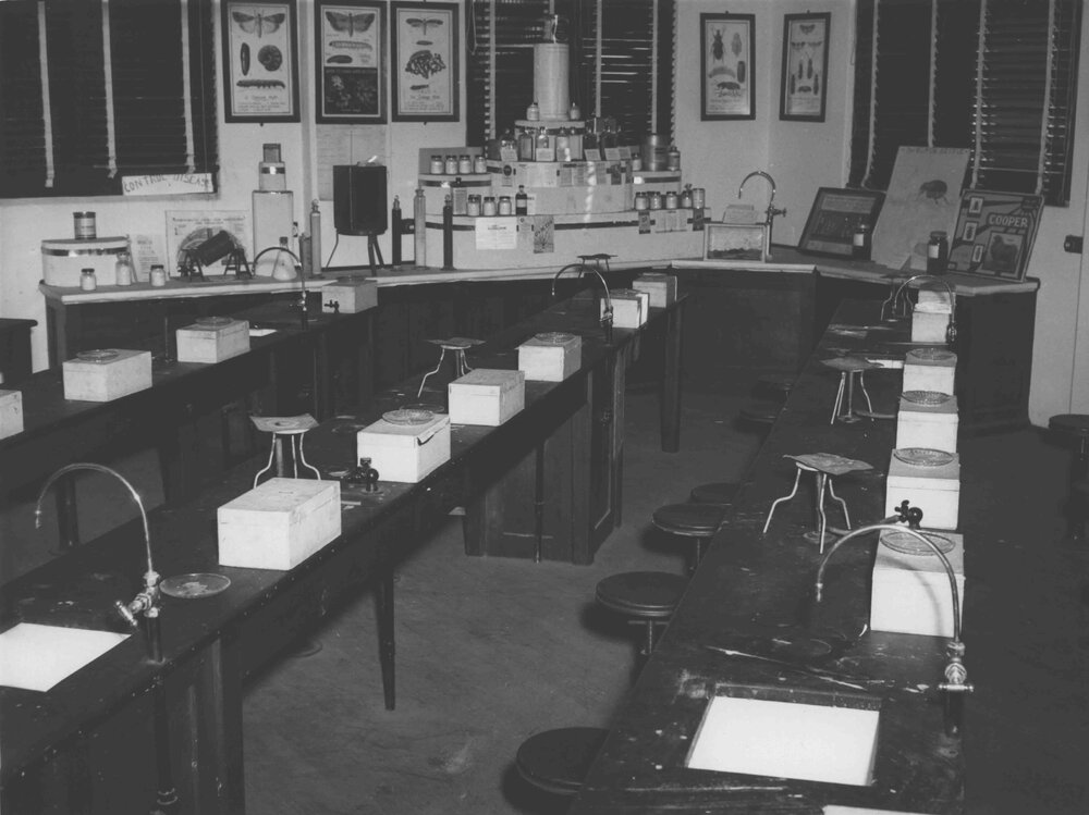 Entomology Laboratory - Workbenches [Hawkesbury Agricultural College (HAC)]