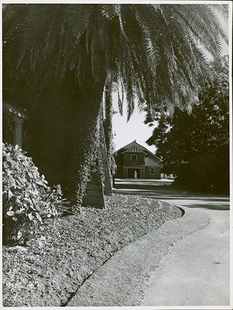 Memorial Hall from the Western Tower of the Main Administration Block [Hawkesbury Agricultural College (HAC)]