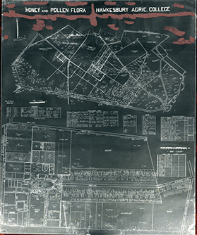 Honey &amp; pollen flora map (negative/microfiche) [Hawkesbury Agricultural College (HAC)]