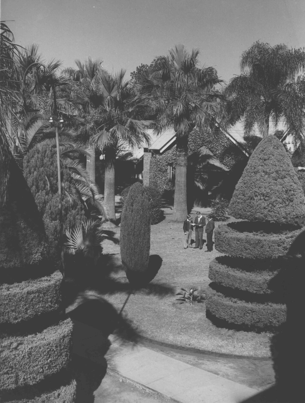 Quadrangle - Dining Hall with topiary trees in front [Hawkesbury Agricultural College (HAC)]