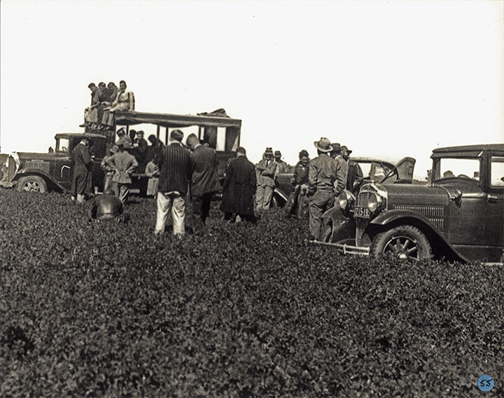 Students and staff standing around cars parked in a field [Hawkesbury Agricultural College (HAC)]