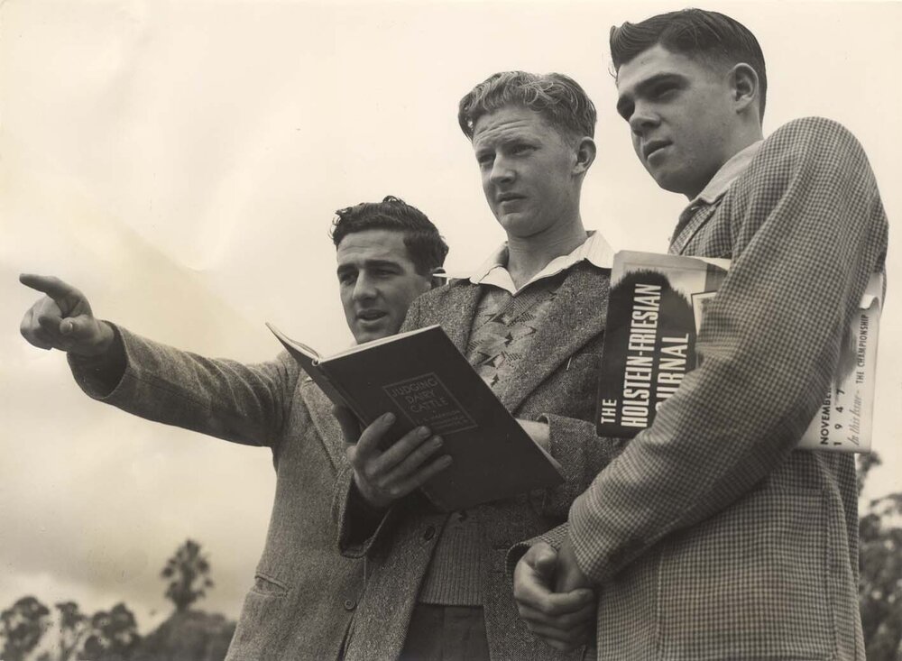 Stock-judging at the British Royal Agricultural Society's Show at York - HAC trained farmers competing [Hawkesbury Agricultural College (HAC)] - Print 2 of 5