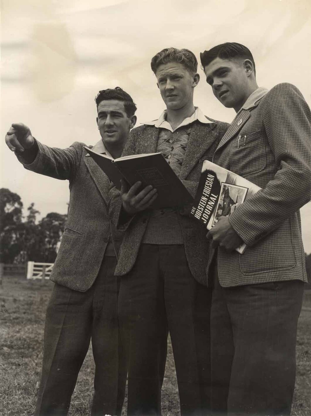 Stock-judging at the British Royal Agricultural Society's Show at York - HAC trained farmers competing [Hawkesbury Agricultural College (HAC)] - Print 3 of 5