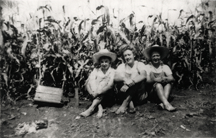Women's Land Army: Faming activities (print 04 of 12) - Three women seated in front of a field of corn [Hawkesbury Agricultural College (HAC)]