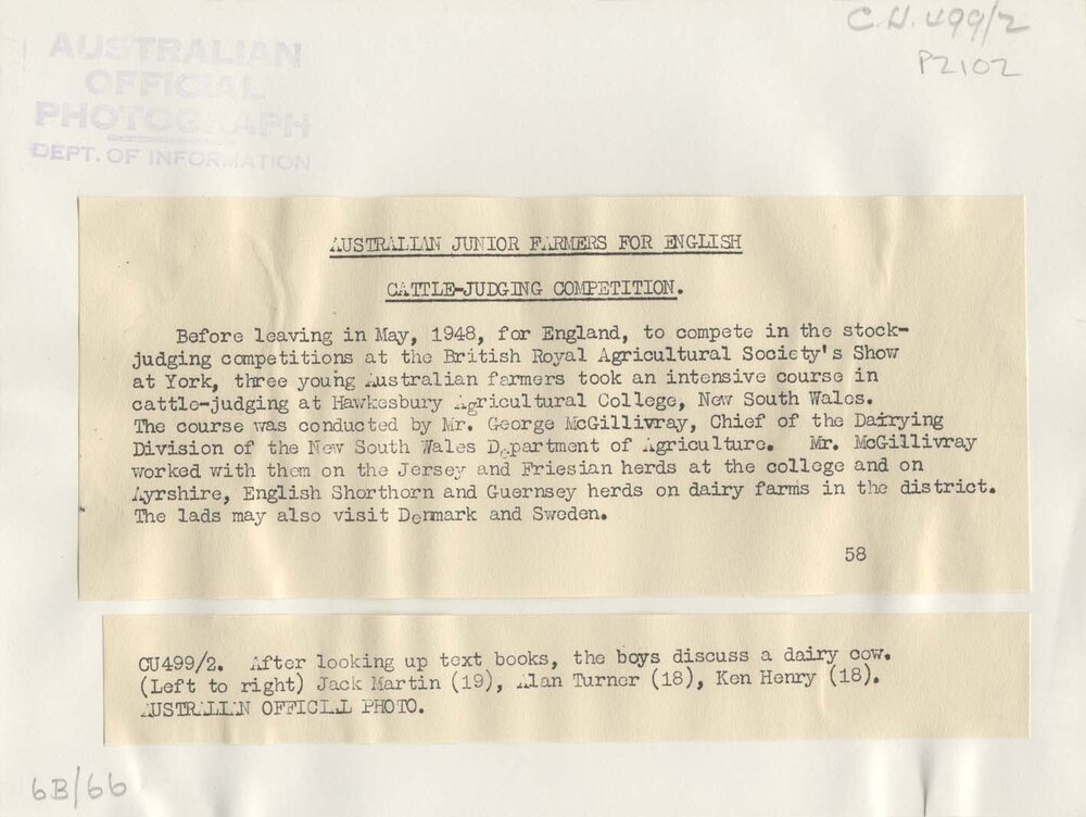 Stock-judging at the British Royal Agricultural Society's Show at York - Text from rear of photograph P2102 (print 3 of 5) [Hawkesbury Agricultural College (HAC)]