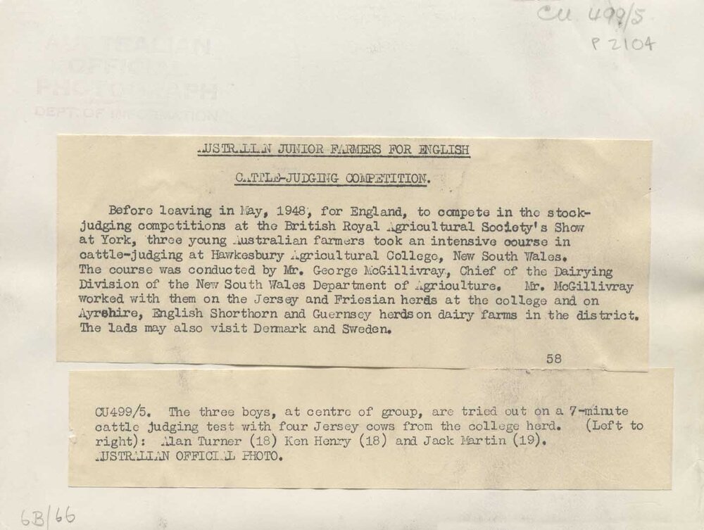 Stock-judging at the British Royal Agricultural Society's Show at York - Text from rear of photograph P2104 (print 5 of 5) [Hawkesbury Agricultural College (HAC)]