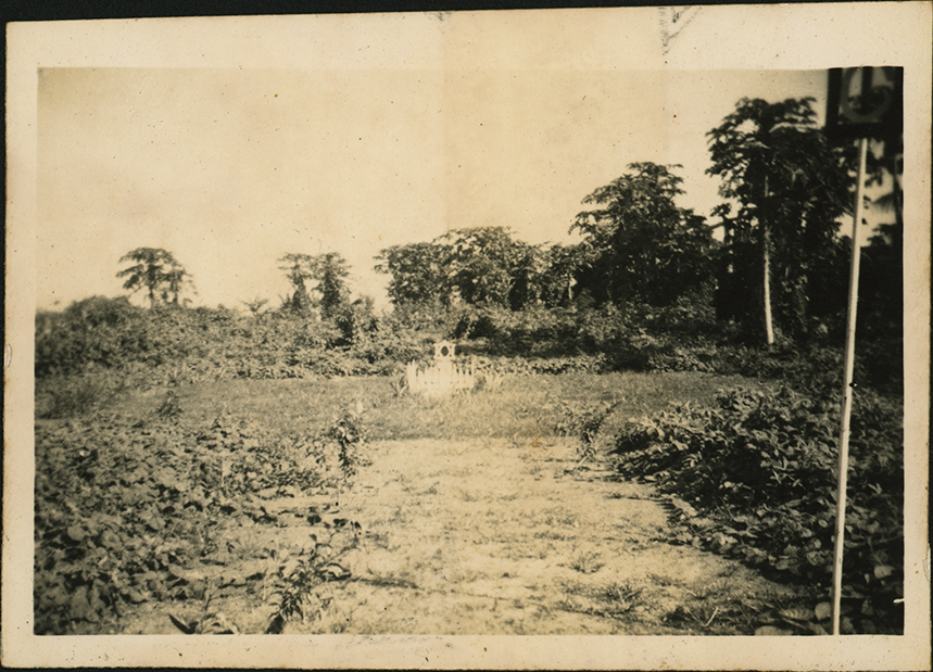 Hoskins Strip (New Britain Island, Papua New Guinea)